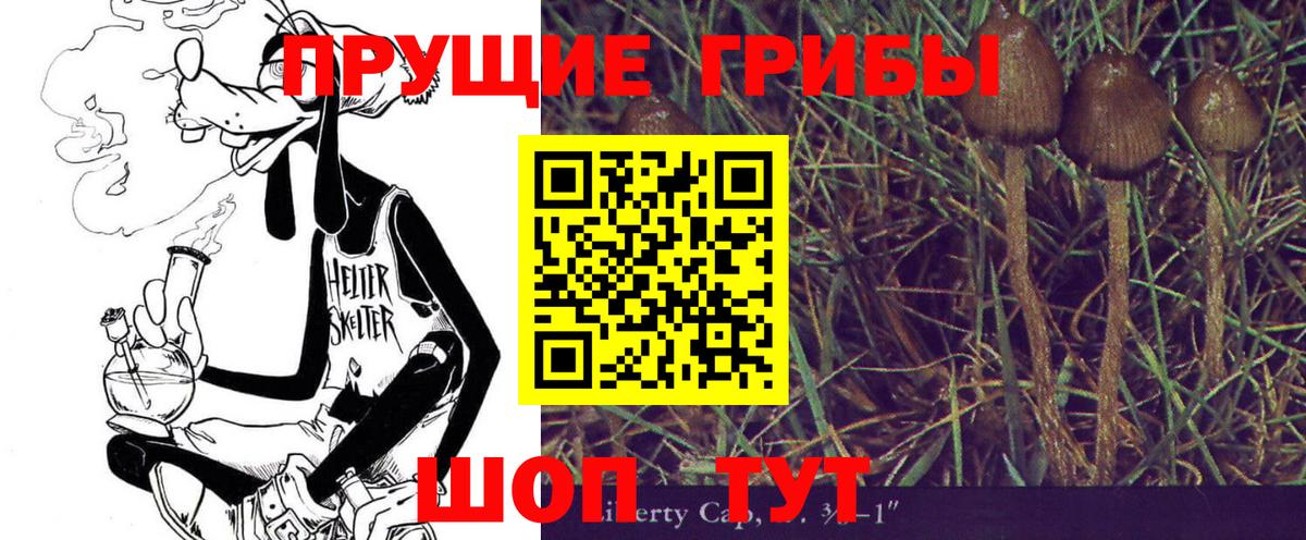 Alpha-PVP СК кристаллы  Лсд 25  МЕФ   Кокаин  ГАШИШ  Каннабис  Вход с VPN  Павловский Посад  МДМА 